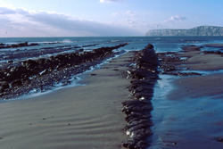 strata at Compton